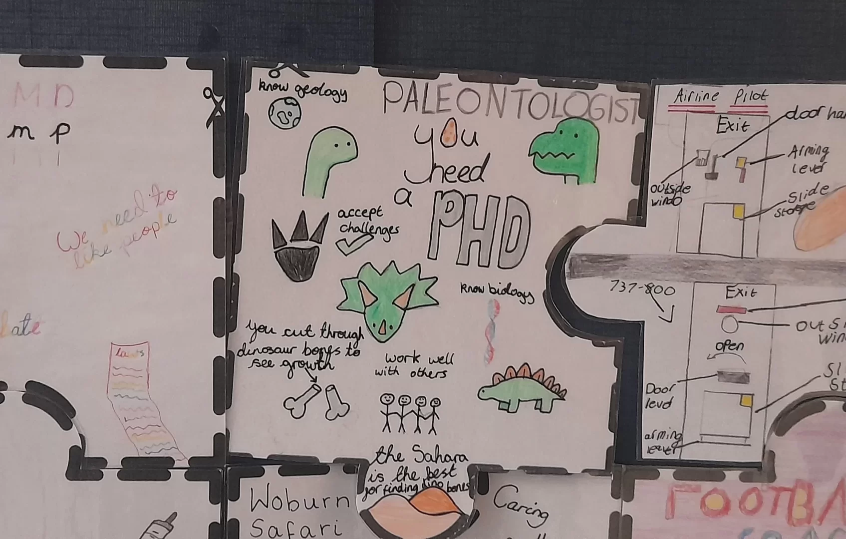 School display board featuring pupils hand drawn jigsaw pieces representing their dream jobs. Featured is a pupils drawings of various dinosaurs and fossils with annotations, as this pupil wishes to be a palaeontologist.